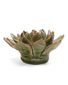 EG12 Avocado Green Firecracker Succulent - Chive UK Wholesale