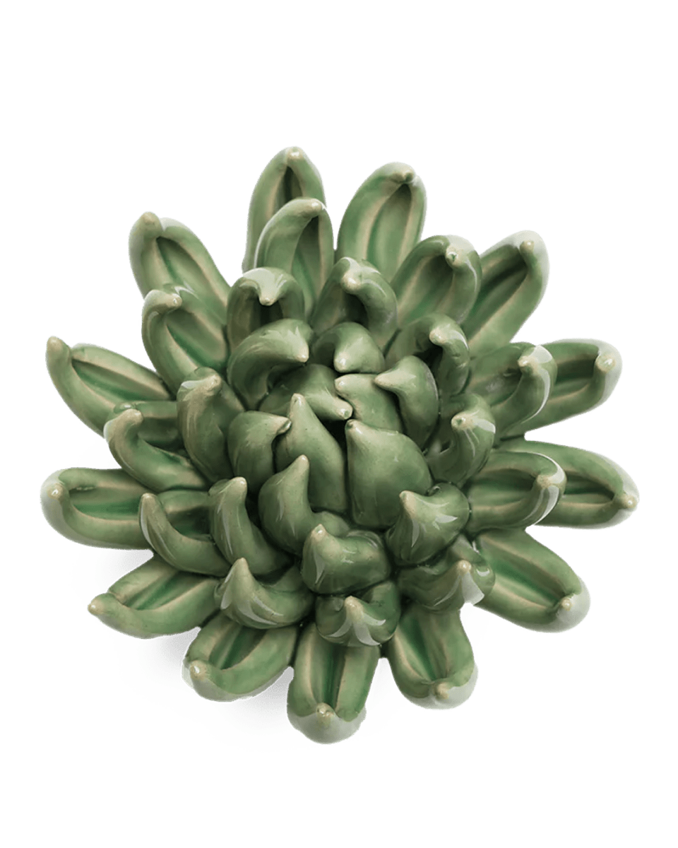 EG14 Jade Green Succulent - Chive UK Wholesale