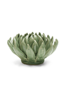 EG14 Jade Green Succulent - Chive UK Wholesale