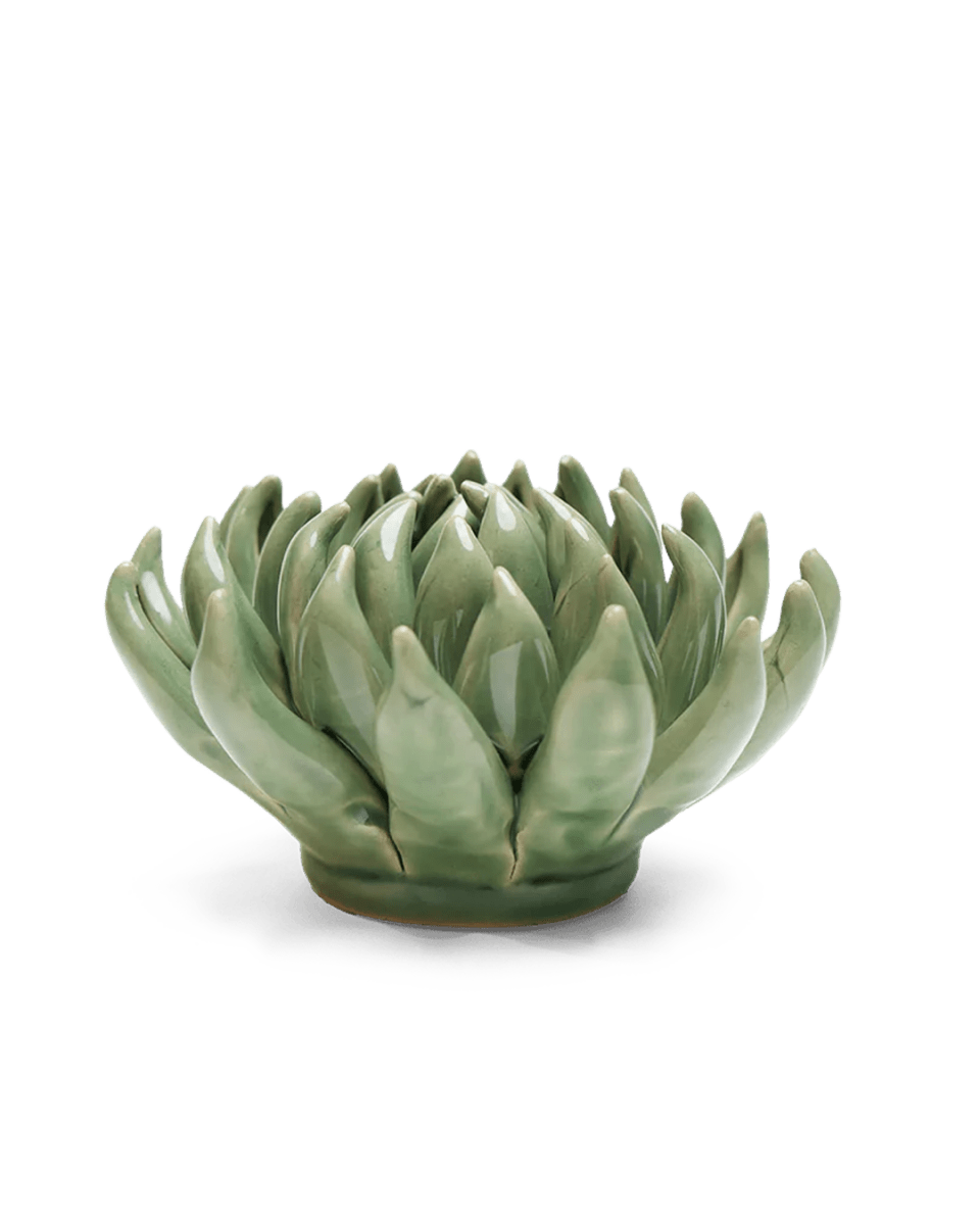 EG14 Jade Green Succulent - Chive UK Wholesale