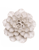 EG15 Ivory European Water Lily - Chive UK Wholesale