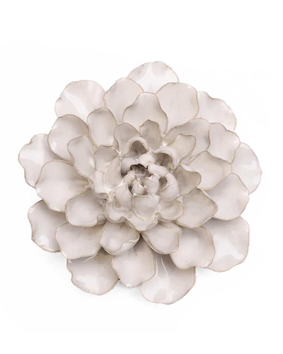 EG15 Ivory European Water Lily - Chive UK Wholesale