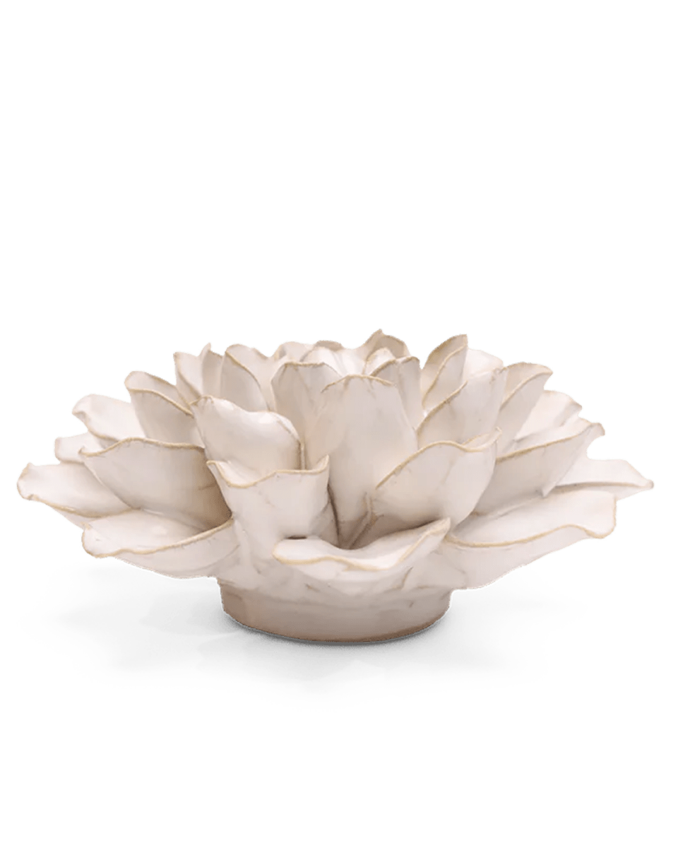 EG15 Ivory European Water Lily - Chive UK Wholesale
