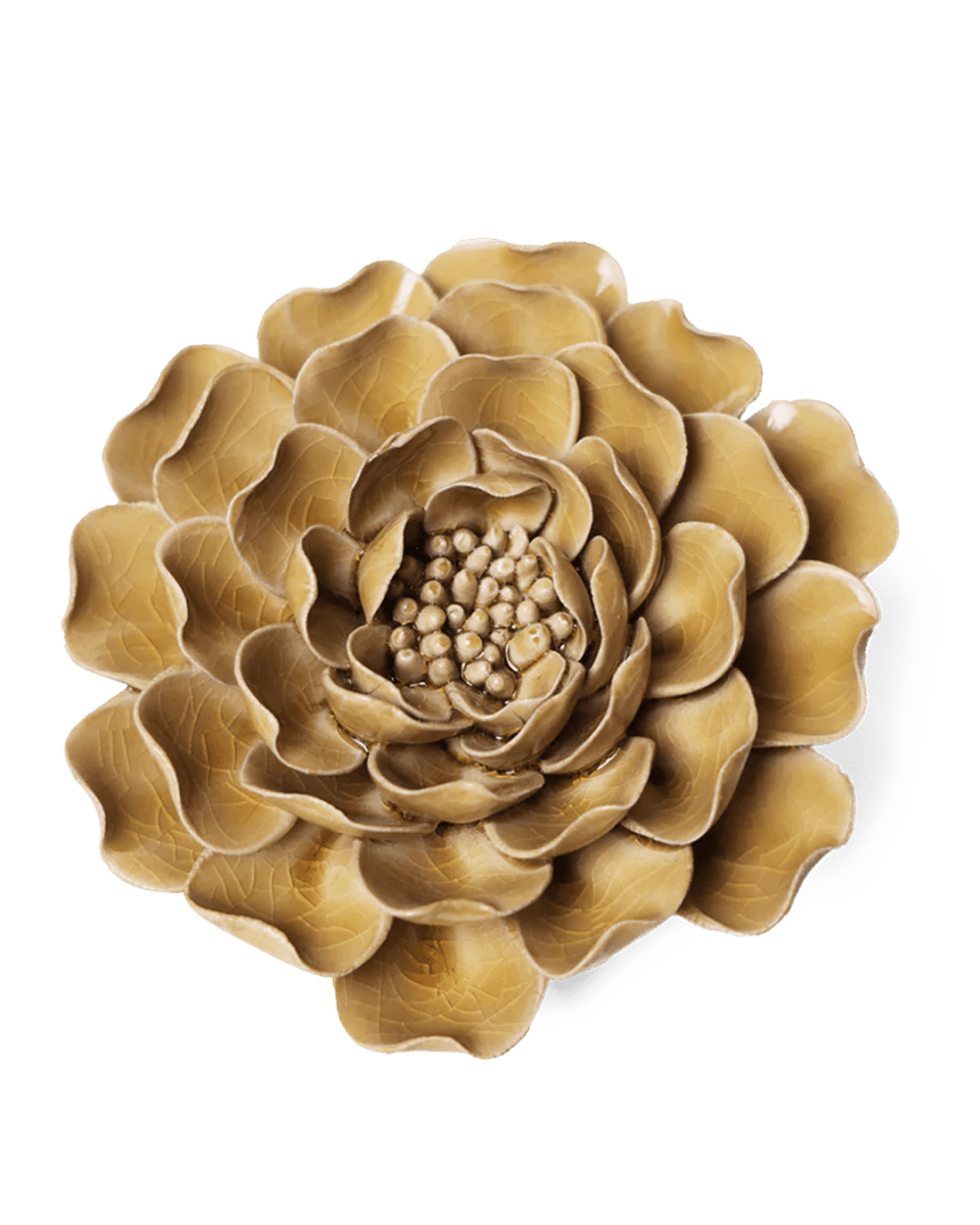 EG16 Caramel Charm Peony - Chive UK Wholesale