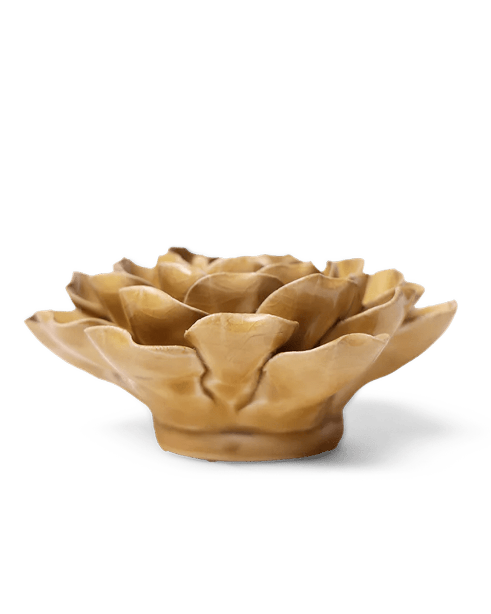 EG16 Caramel Charm Peony - Chive UK Wholesale