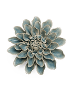 EG17 Powder Blue Aphrodite Dahlia - Chive UK Wholesale