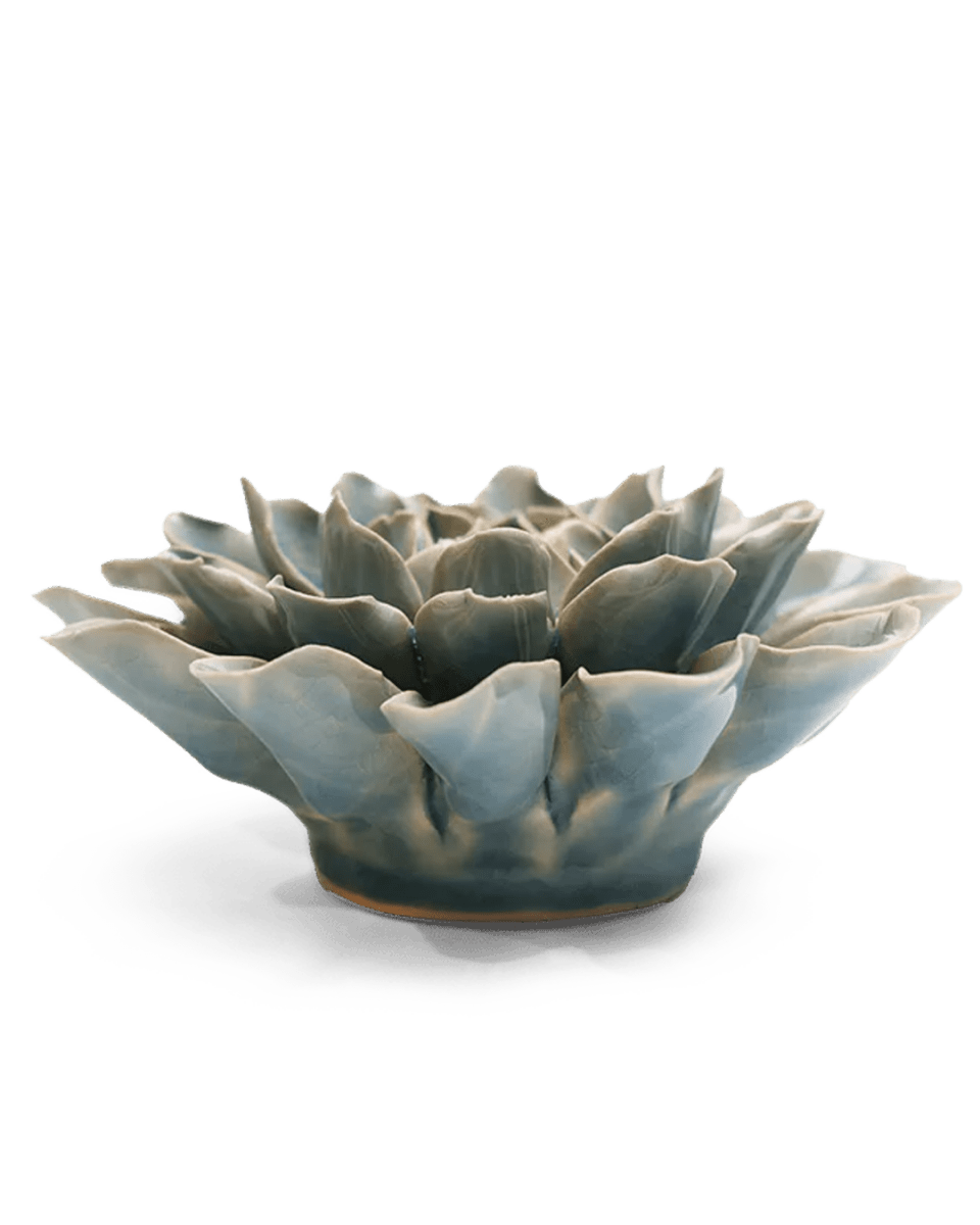 EG17 Powder Blue Aphrodite Dahlia - Chive UK Wholesale
