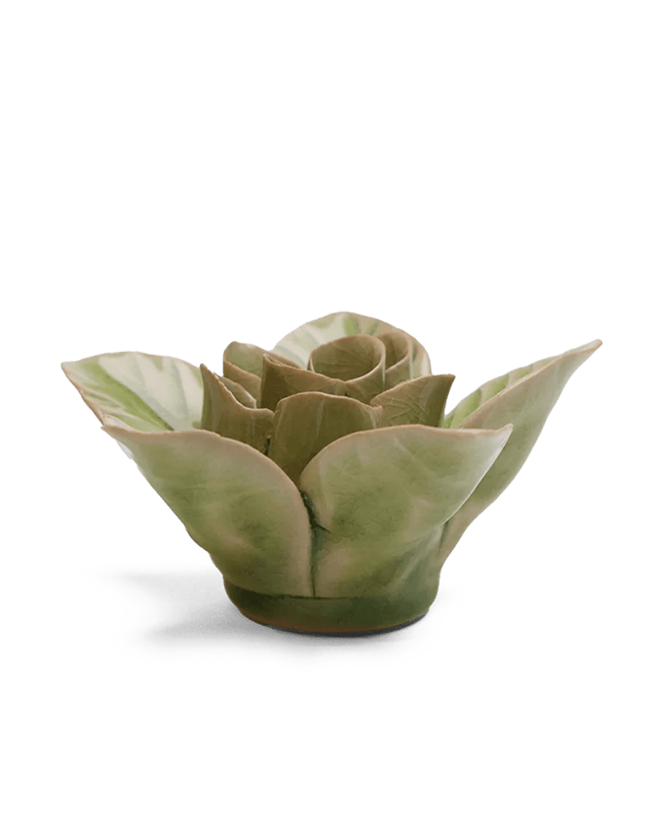 EG18 Peridot Green Maiden Lotus - Chive UK Wholesale