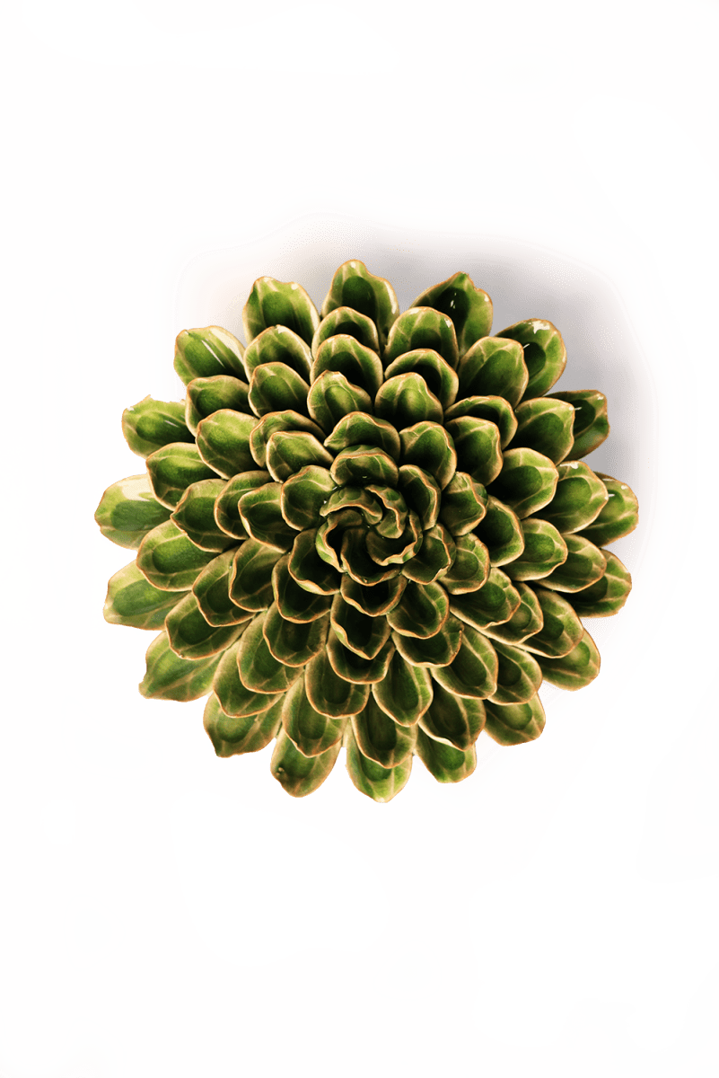 English Garden Curated Collection 22 - Chive UK Wholesale