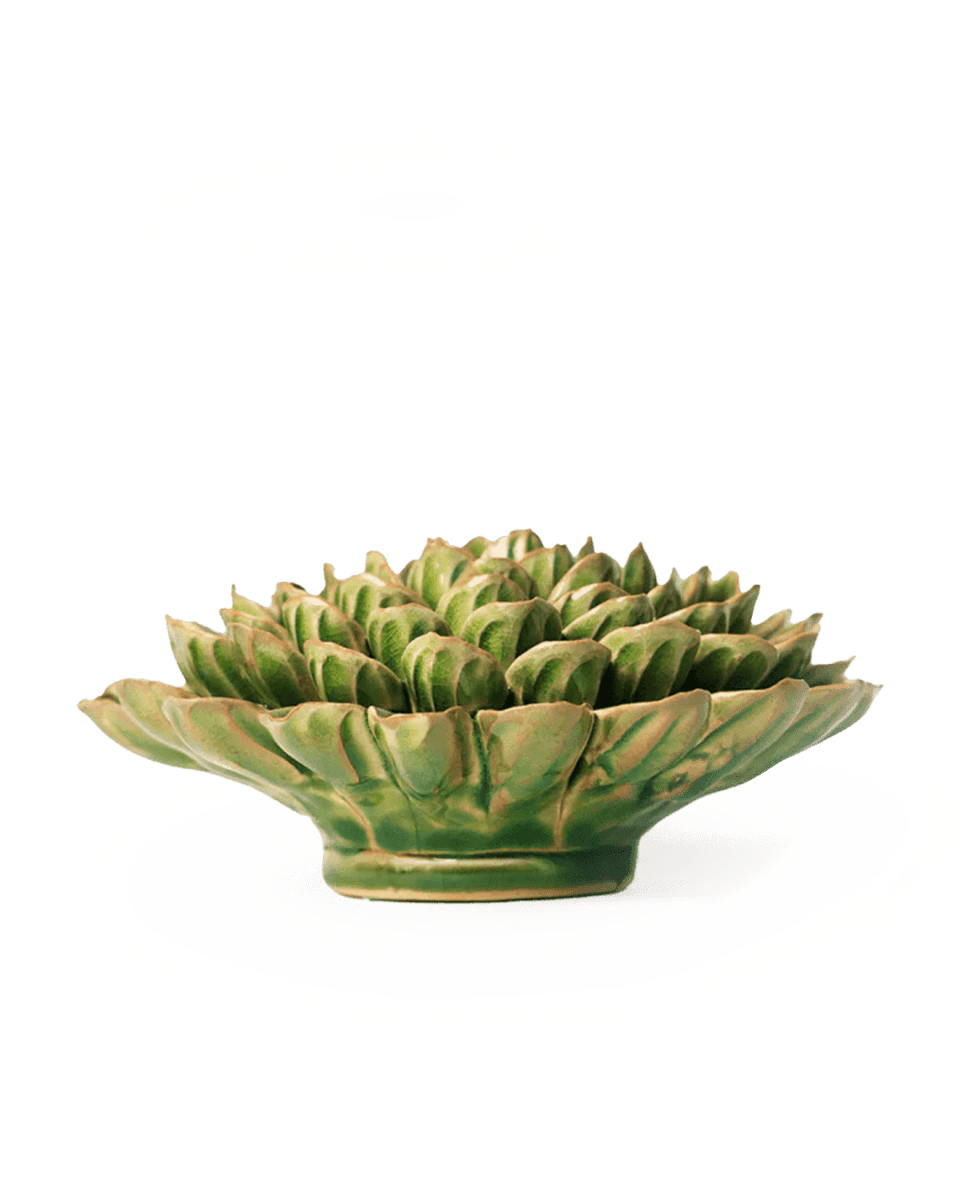 EG20 Avocado Green Unicorn Zinnia - Chive UK Wholesale