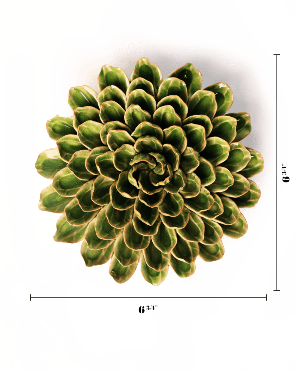 EG20 Avocado Green Unicorn Zinnia - Chive UK Wholesale