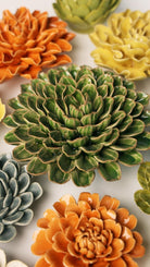 EG20 Avocado Green Unicorn Zinnia - Chive UK Wholesale