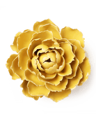 EG21 Buttercup Yellow Gay Paree Peony - Chive UK Wholesale