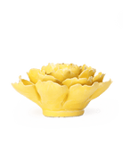 EG21 Buttercup Yellow Gay Paree Peony - Chive UK Wholesale