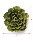 EG22 Avocado Green Keiko Peony - Chive UK Wholesale