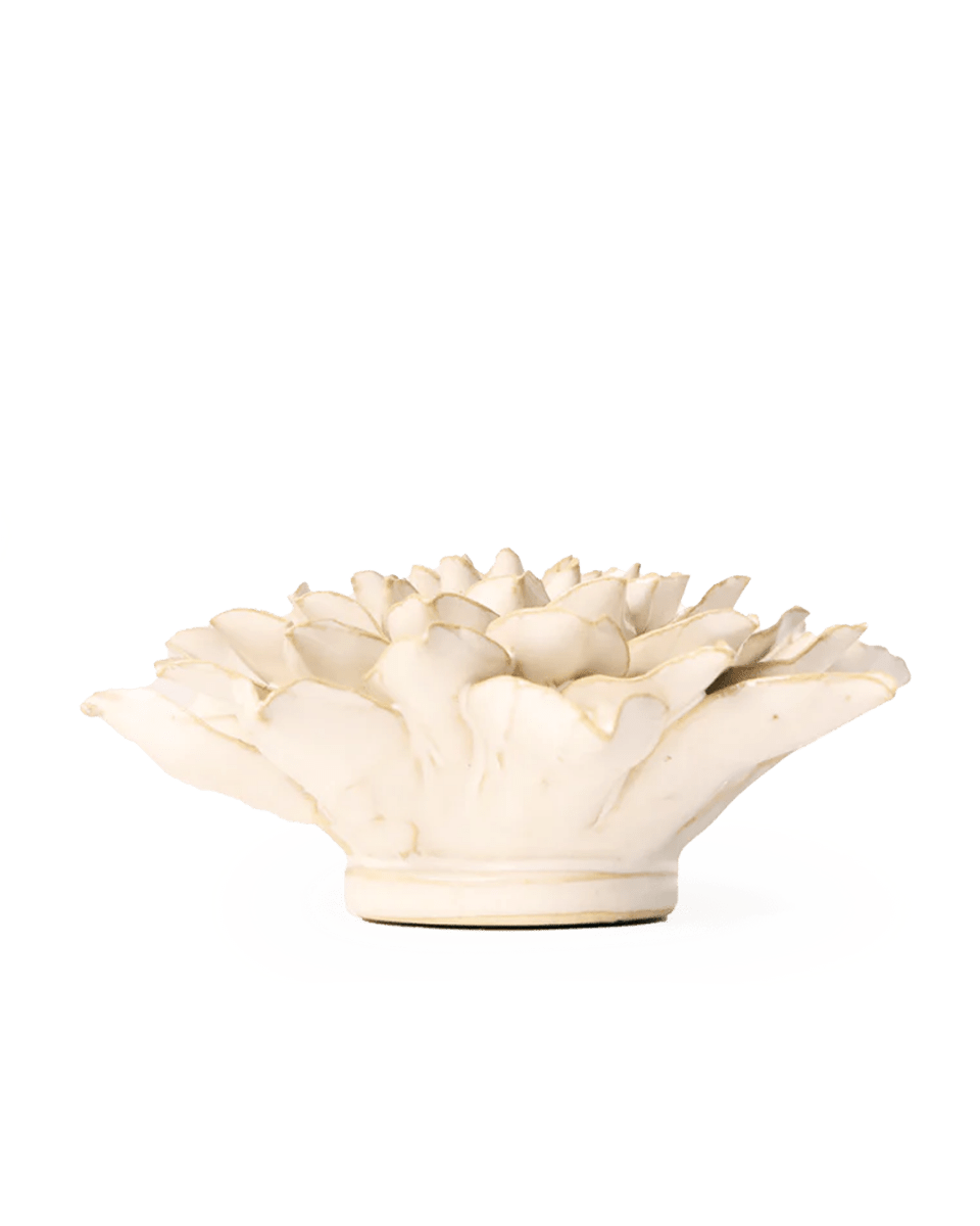 EG23 Ivory Autumn Azalea - Chive UK Wholesale