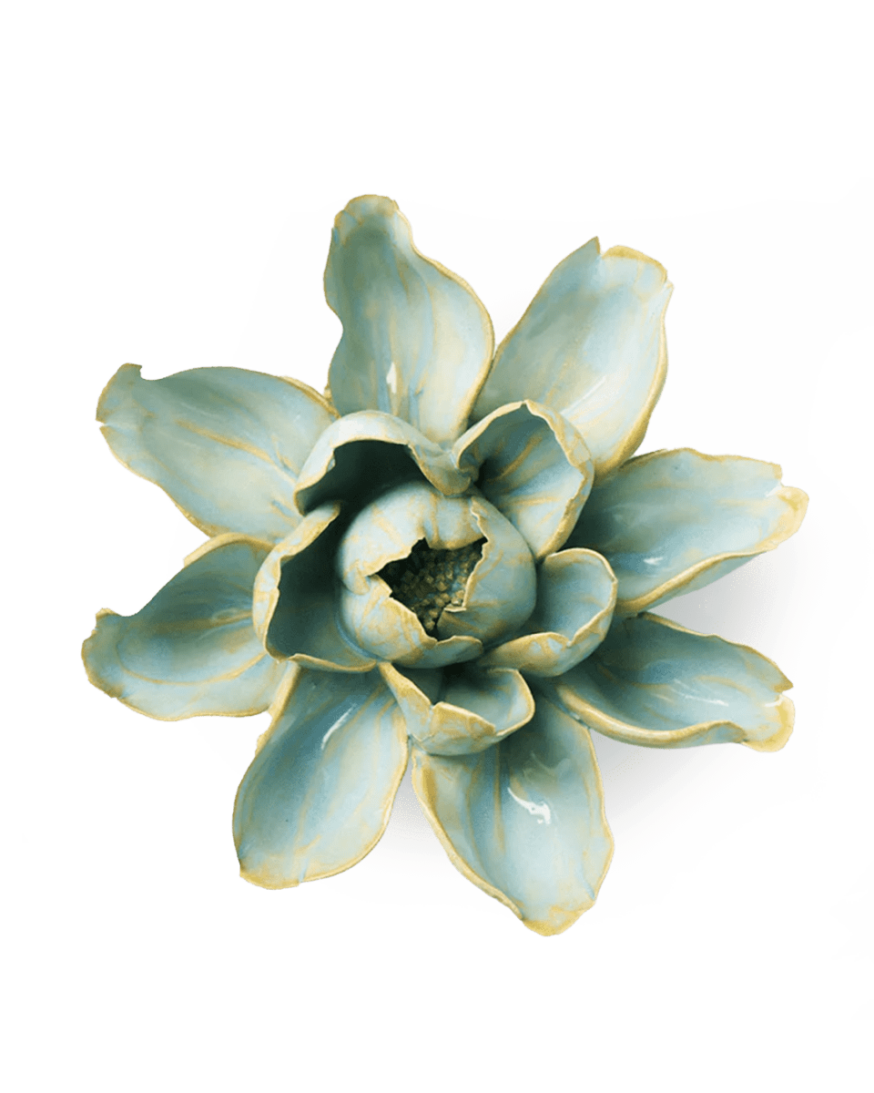 EG24 Robin's Egg Blue Aurora Water Lily - Chive UK Wholesale