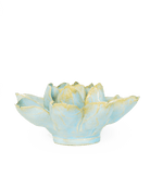 EG24 Robin's Egg Blue Aurora Water Lily - Chive UK Wholesale