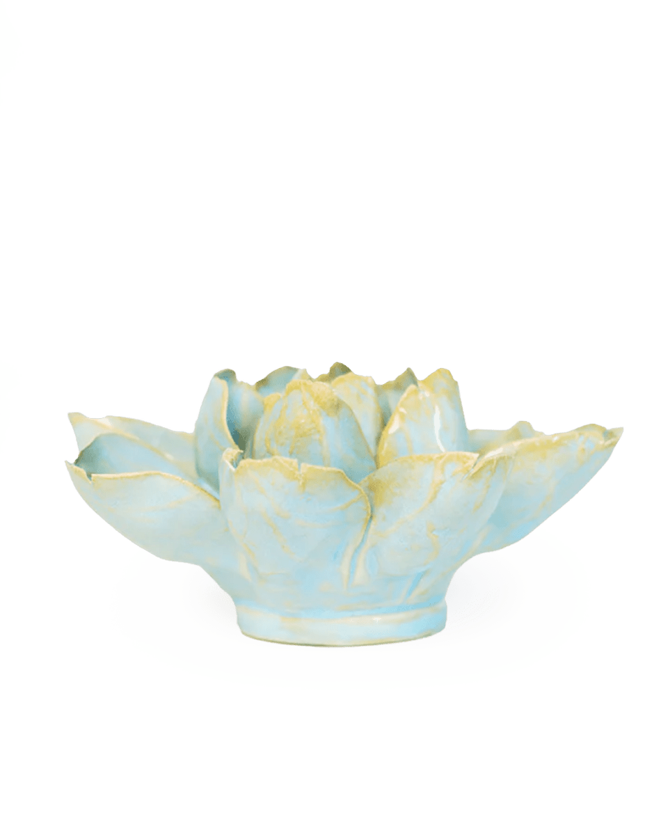 EG24 Robin's Egg Blue Aurora Water Lily - Chive UK Wholesale