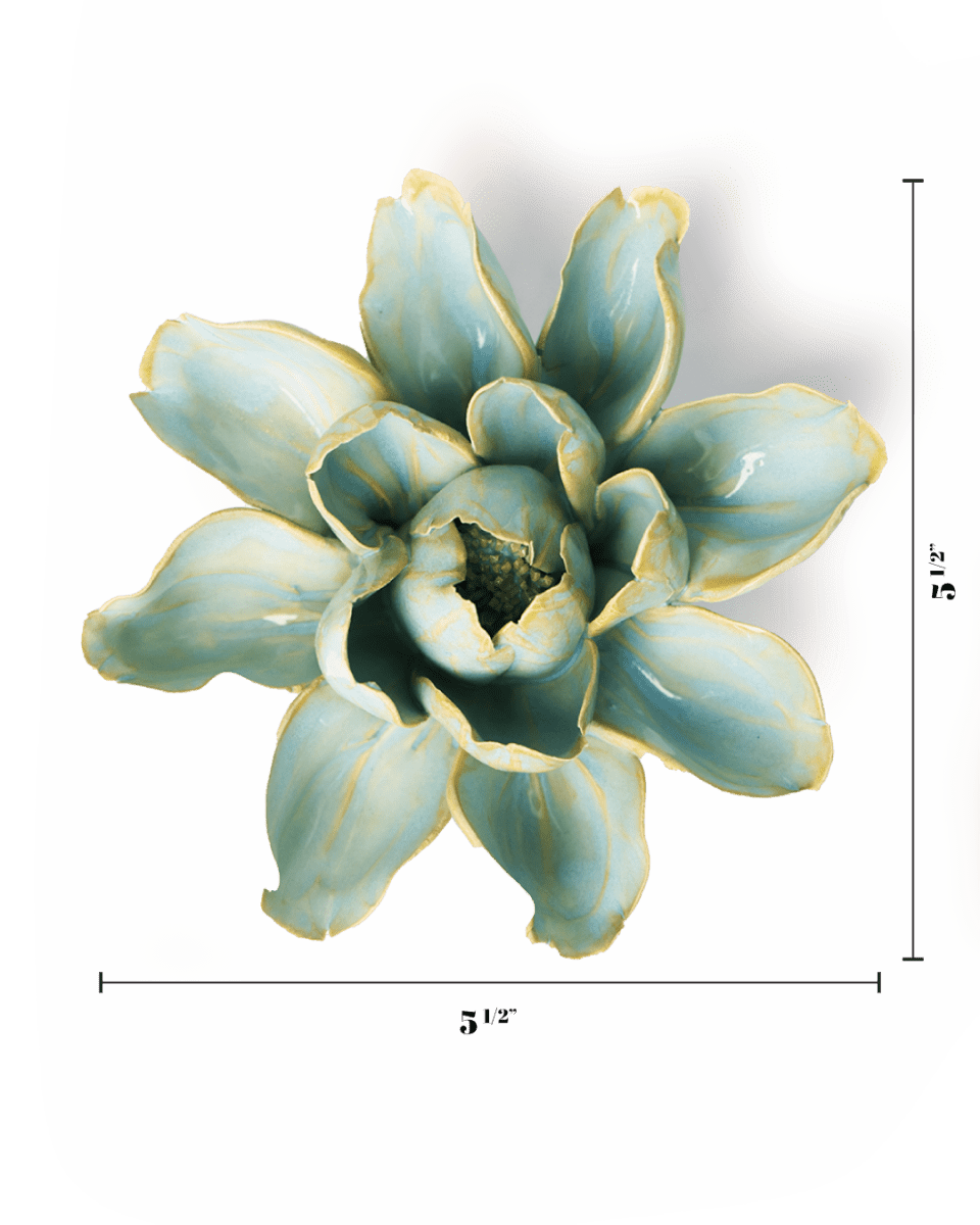 EG24 Robin's Egg Blue Aurora Water Lily - Chive UK Wholesale