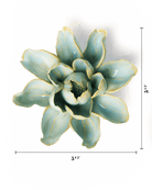 EG24 Robin's Egg Blue Aurora Water Lily - Chive UK Wholesale