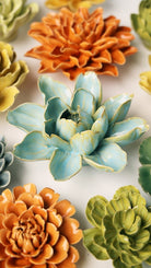 EG24 Robin's Egg Blue Aurora Water Lily - Chive UK Wholesale