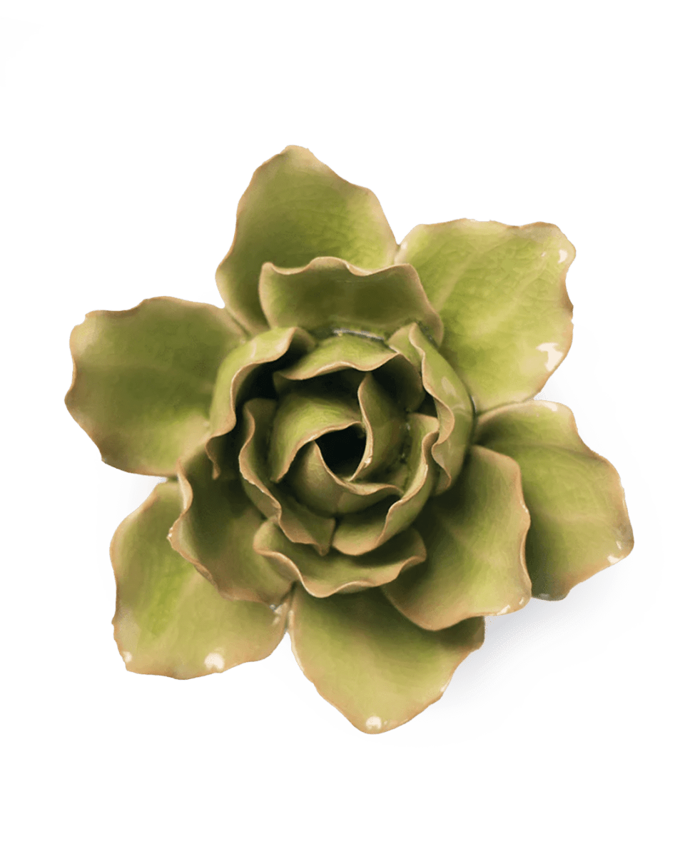 EG25 Peridot Stargazer Lily - Chive UK Wholesale