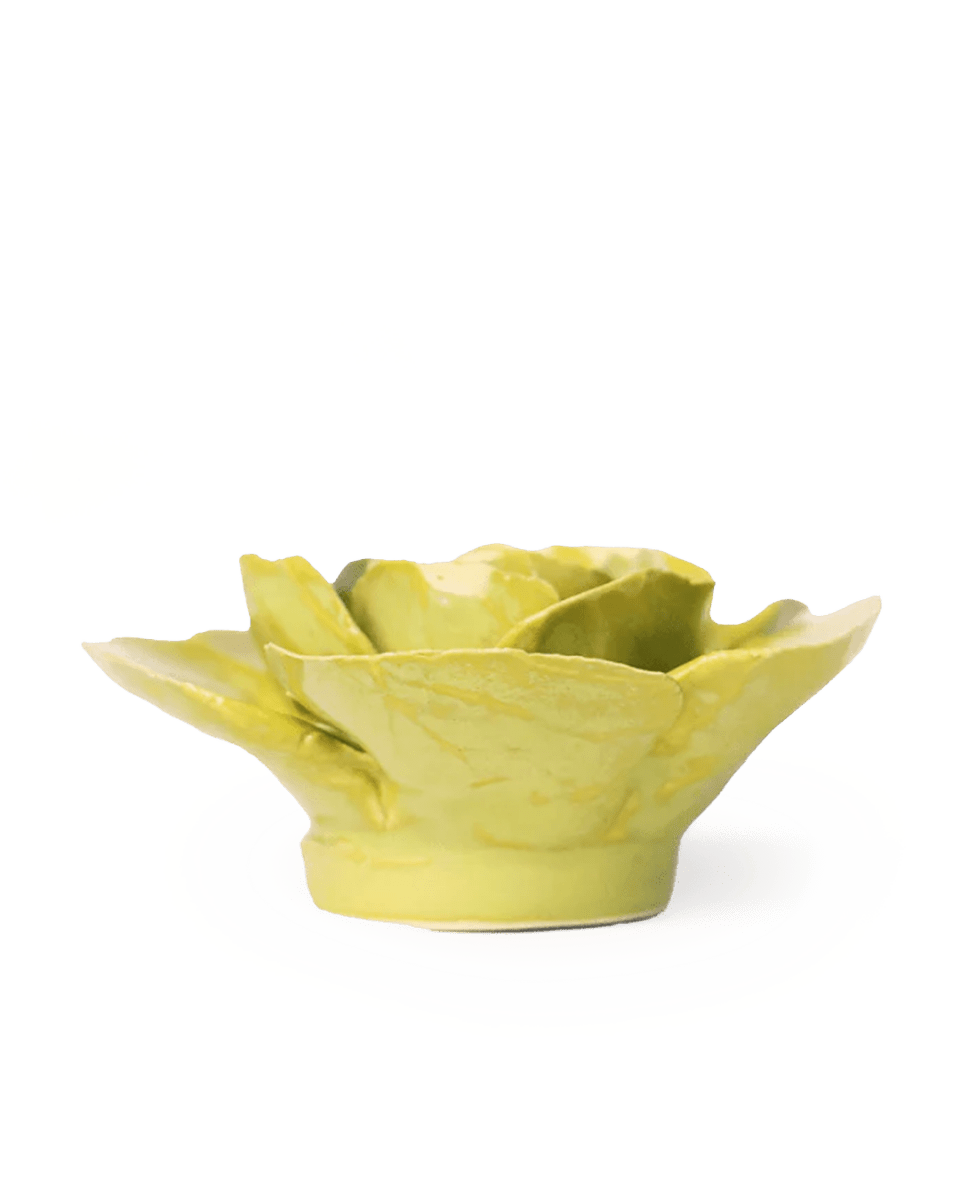 EG25 Peridot Stargazer Lily - Chive UK Wholesale