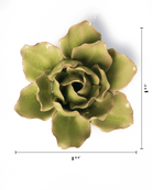 EG25 Peridot Stargazer Lily - Chive UK Wholesale