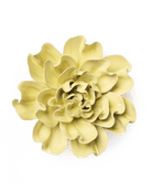 EG26 Lime Yellow Larkspur - Chive UK Wholesale