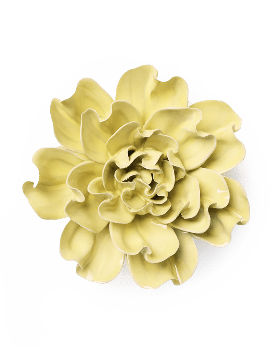 EG26 Lime Yellow Larkspur - Chive UK Wholesale