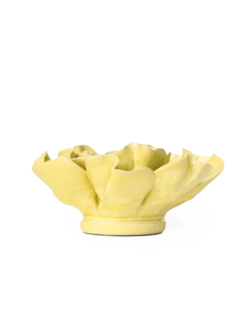 EG26 Lime Yellow Larkspur - Chive UK Wholesale