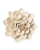 EG28 Ivory Snowdrop - Chive UK Wholesale