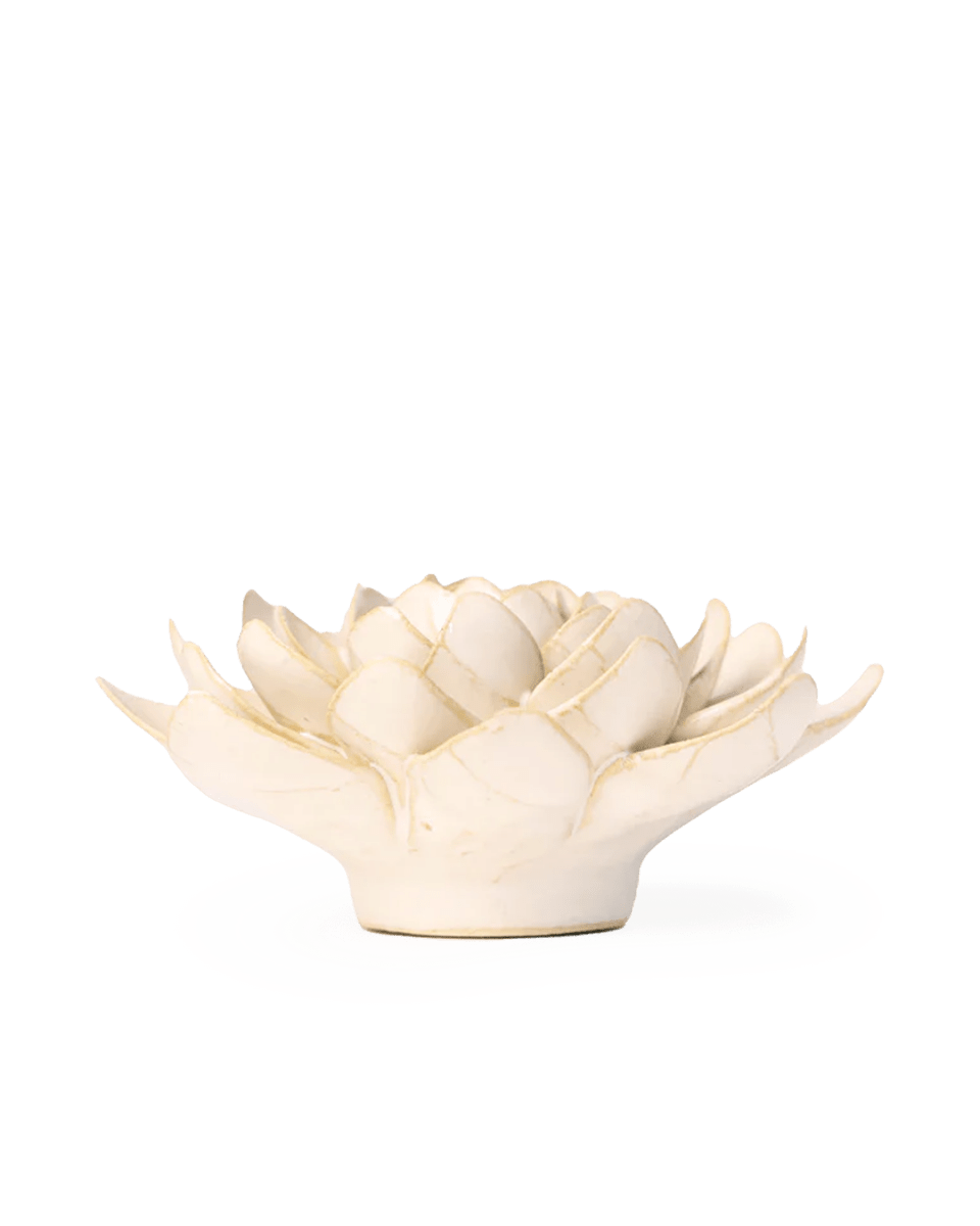 EG28 Ivory Snowdrop - Chive UK Wholesale