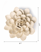 EG28 Ivory Snowdrop - Chive UK Wholesale