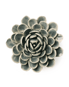 EG29 Pewter Blue Zinderella Zinnia - Chive UK Wholesale