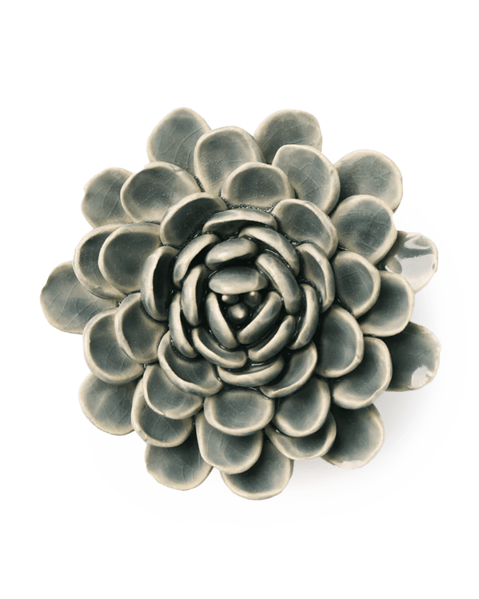 EG29 Pewter Blue Zinderella Zinnia - Chive UK Wholesale