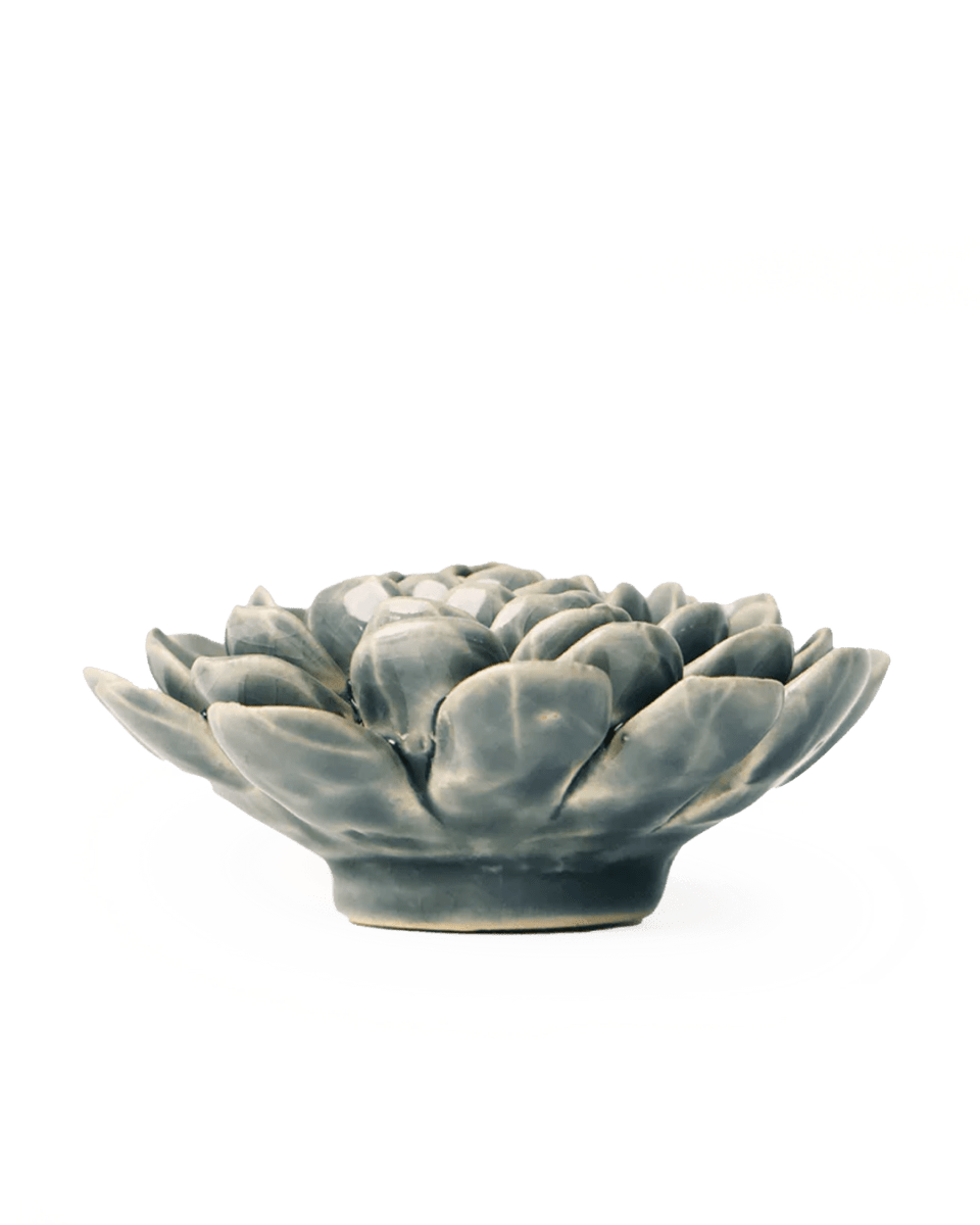 EG29 Pewter Blue Zinderella Zinnia - Chive UK Wholesale