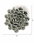 EG29 Pewter Blue Zinderella Zinnia - Chive UK Wholesale