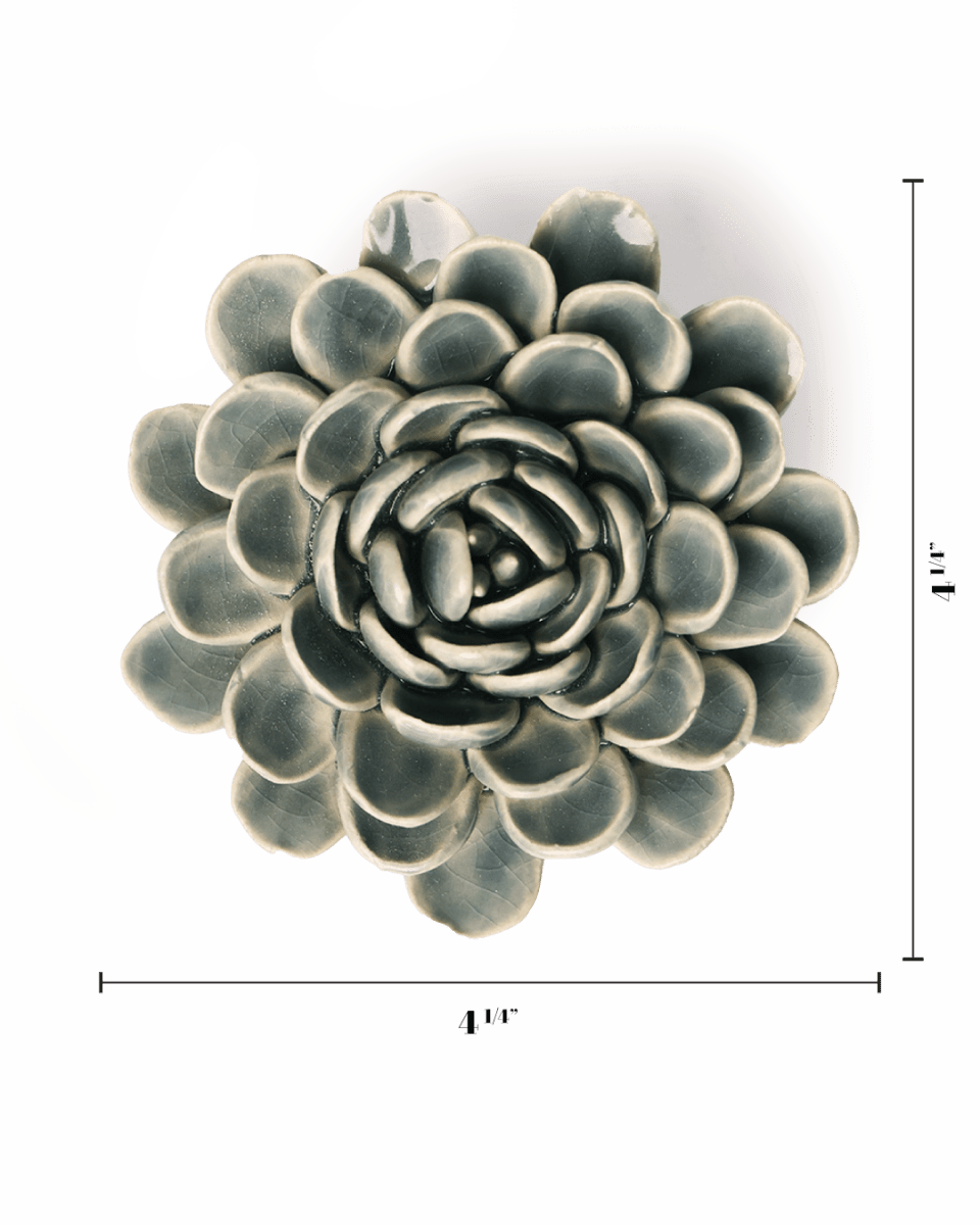 EG29 Pewter Blue Zinderella Zinnia - Chive UK Wholesale