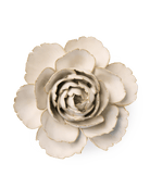 EG31 Ivory English Rose - Chive UK Wholesale