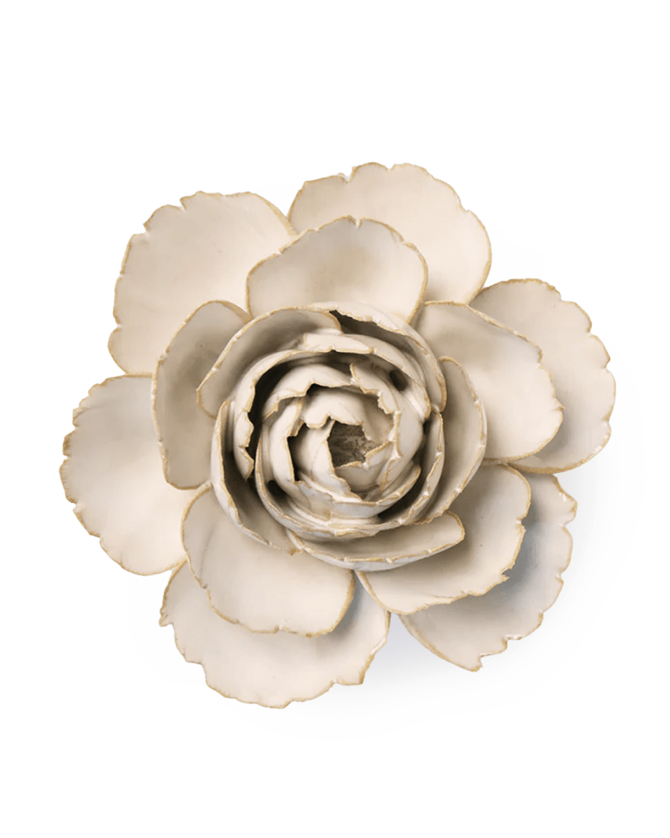 EG31 Ivory English Rose - Chive UK Wholesale