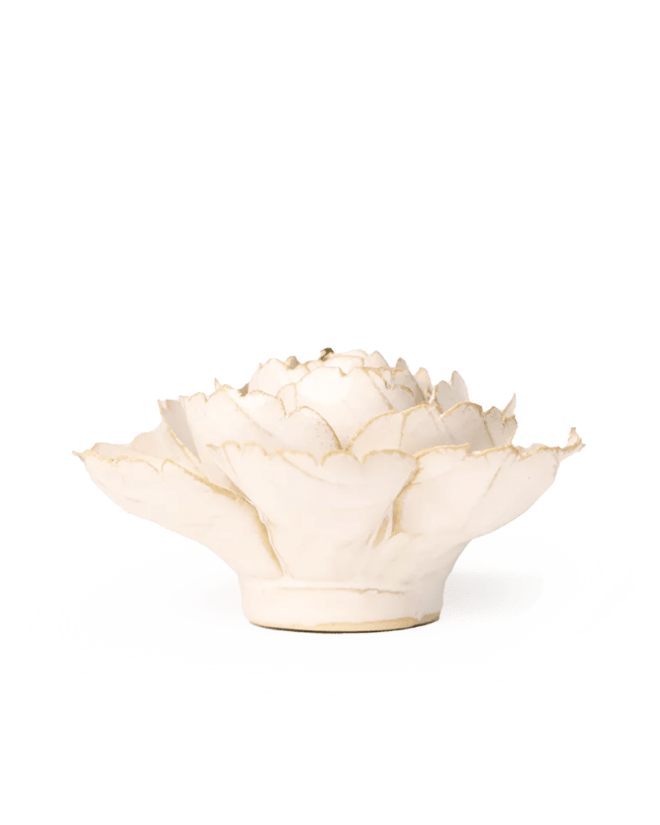 EG31 Ivory English Rose - Chive UK Wholesale