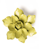 EG32 Chartreuse Columbine - Chive UK Wholesale