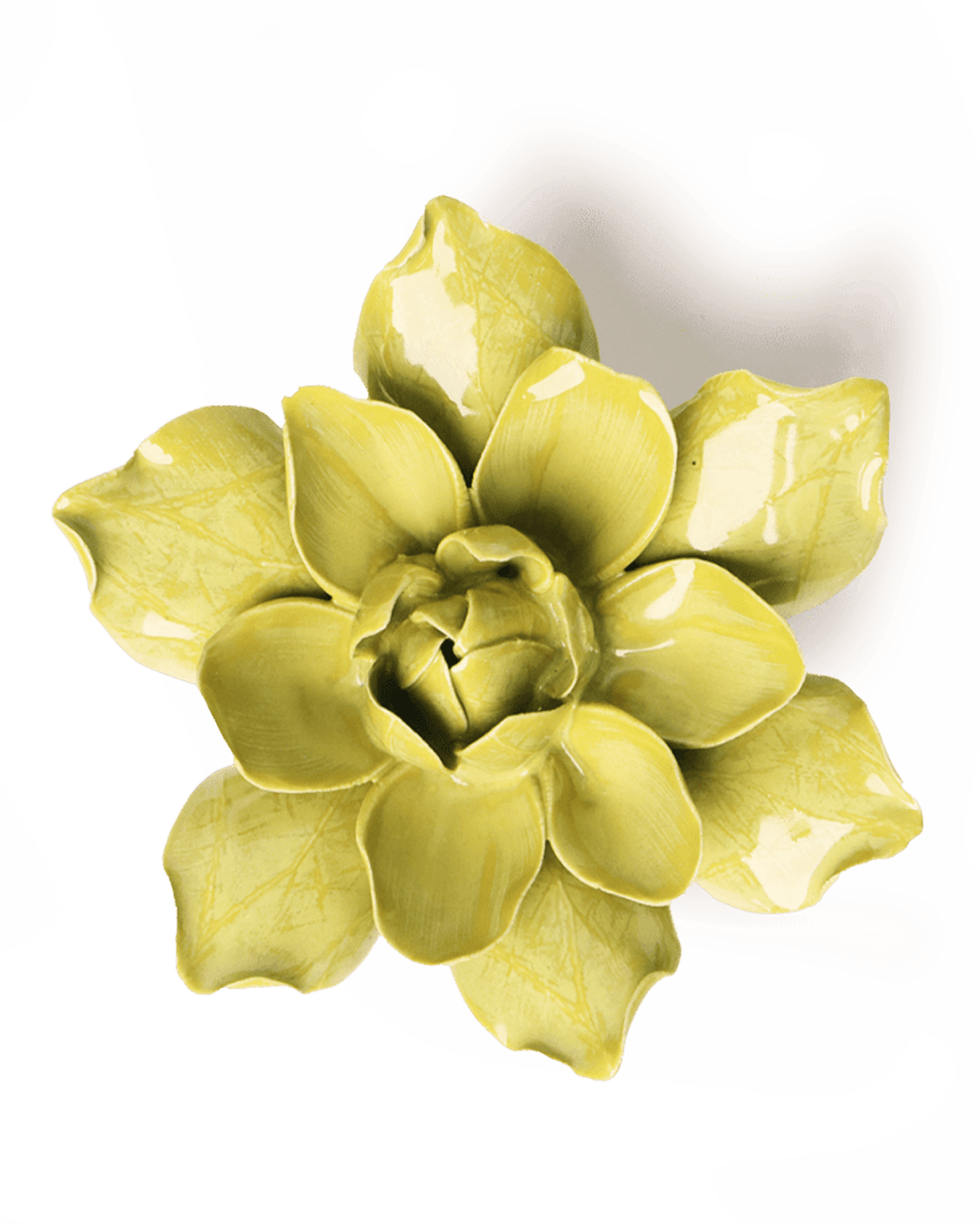 EG32 Chartreuse Columbine - Chive UK Wholesale