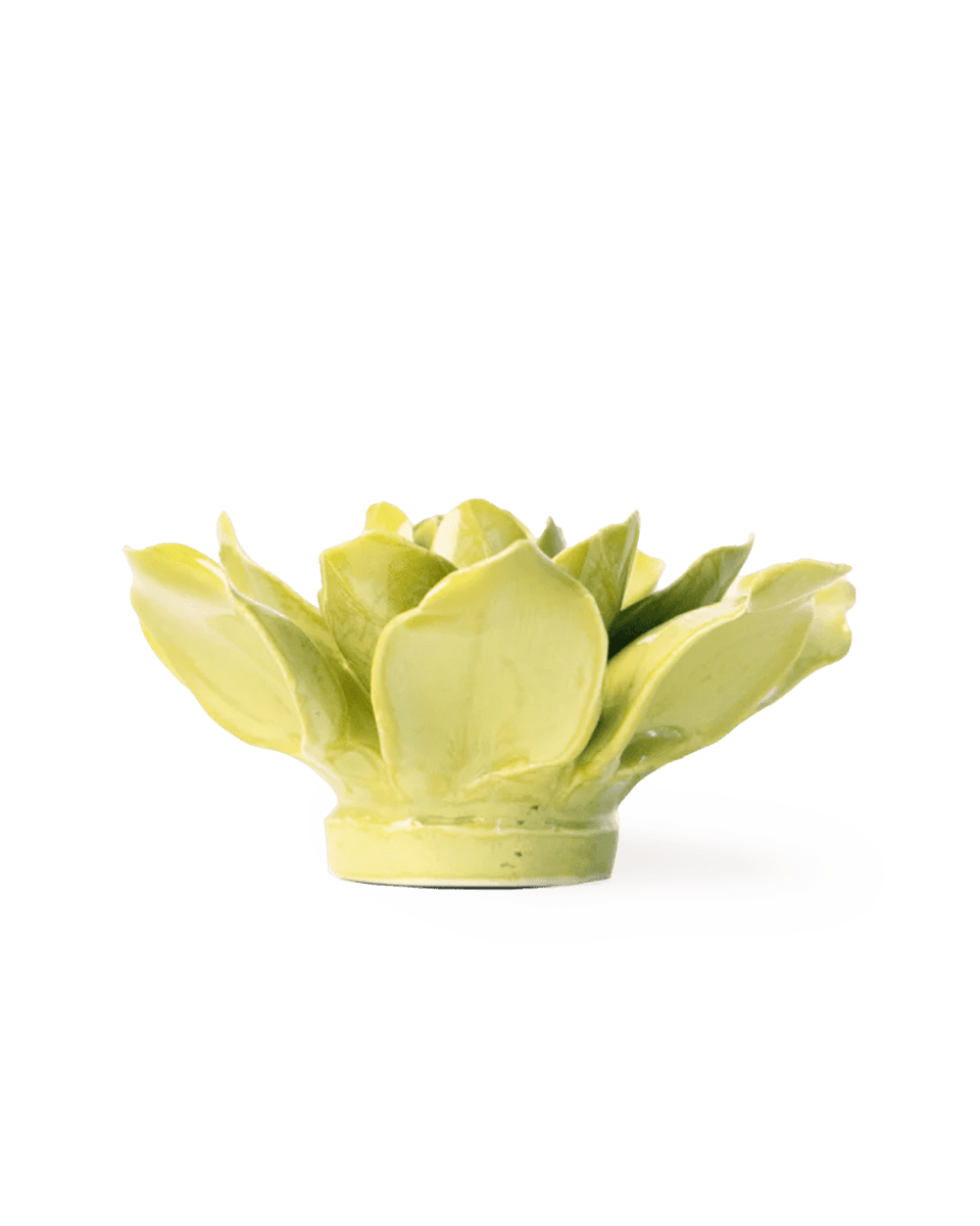 EG32 Chartreuse Columbine - Chive UK Wholesale