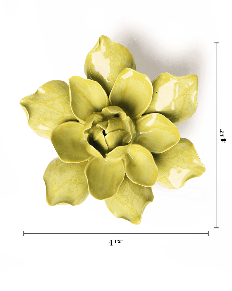 EG32 Chartreuse Columbine - Chive UK Wholesale