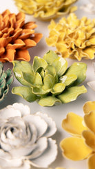 EG32 Chartreuse Columbine - Chive UK Wholesale