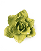 EG33 Chartreuse Gladiolus - Chive UK Wholesale