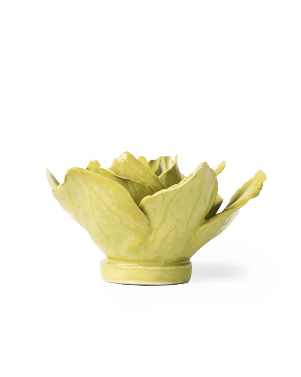 EG33 Chartreuse Gladiolus - Chive UK Wholesale